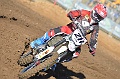 _ROB6787 (Copy)